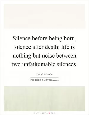 Silence before being born, silence after death: life is nothing but noise between two unfathomable silences Picture Quote #1