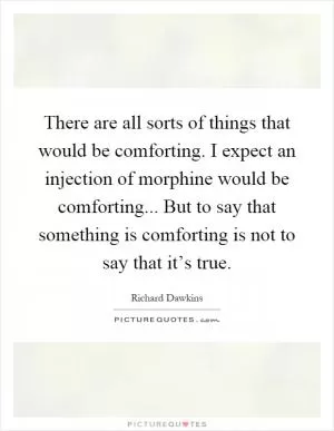 There are all sorts of things that would be comforting. I expect an injection of morphine would be comforting... But to say that something is comforting is not to say that it’s true Picture Quote #1