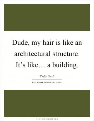 Dude, my hair is like an architectural structure. It’s like… a building Picture Quote #1