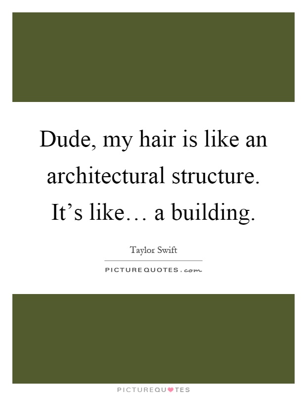 Dude, my hair is like an architectural structure. It's like… a building Picture Quote #1