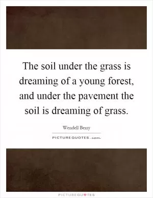 The soil under the grass is dreaming of a young forest, and under the pavement the soil is dreaming of grass Picture Quote #1