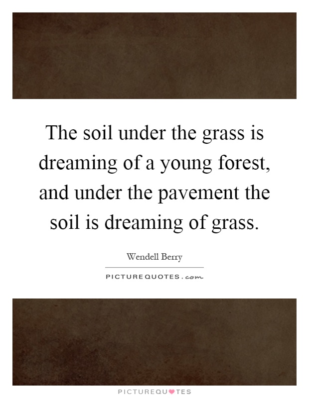 The soil under the grass is dreaming of a young forest, and under the pavement the soil is dreaming of grass Picture Quote #1