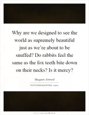 Why are we designed to see the world as supremely beautiful just as we’re about to be snuffed? Do rabbits feel the same as the fox teeth bite down on their necks? Is it mercy? Picture Quote #1