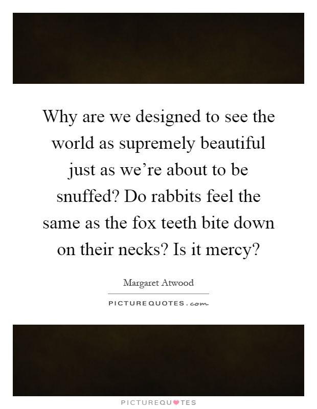 Why are we designed to see the world as supremely beautiful just as we're about to be snuffed? Do rabbits feel the same as the fox teeth bite down on their necks? Is it mercy? Picture Quote #1