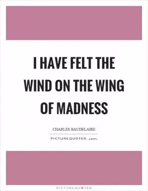I have felt the wind on the wing of madness Picture Quote #1
