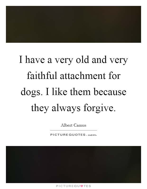 I have a very old and very faithful attachment for dogs. I like them because they always forgive Picture Quote #1