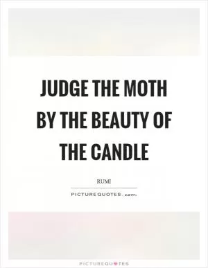 Judge the moth by the beauty of the candle Picture Quote #1