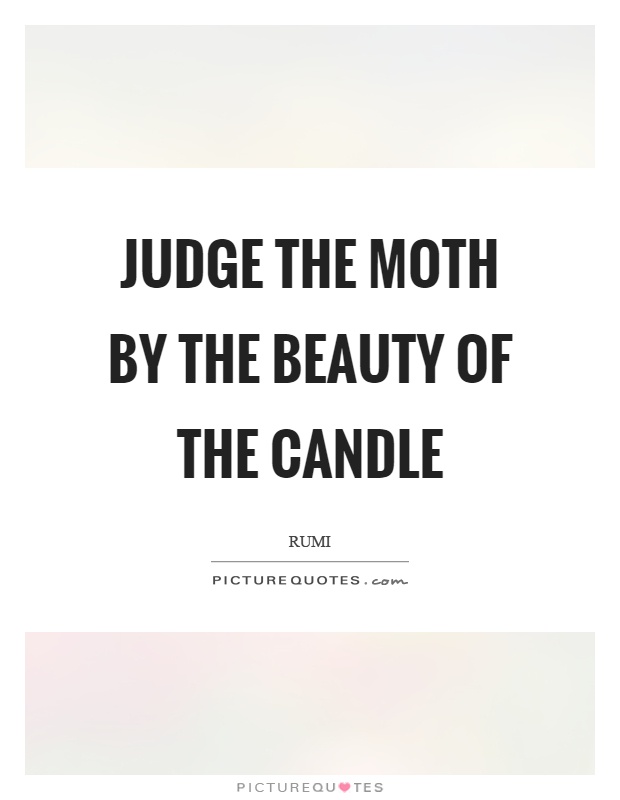 Judge the moth by the beauty of the candle Picture Quote #1