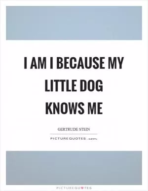 I am I because my little dog knows me Picture Quote #1