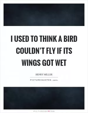 I used to think a bird couldn’t fly if its wings got wet Picture Quote #1