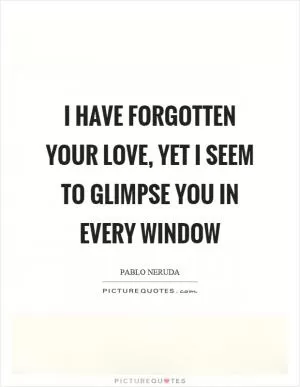 I have forgotten your love, yet I seem to glimpse you in every window Picture Quote #1