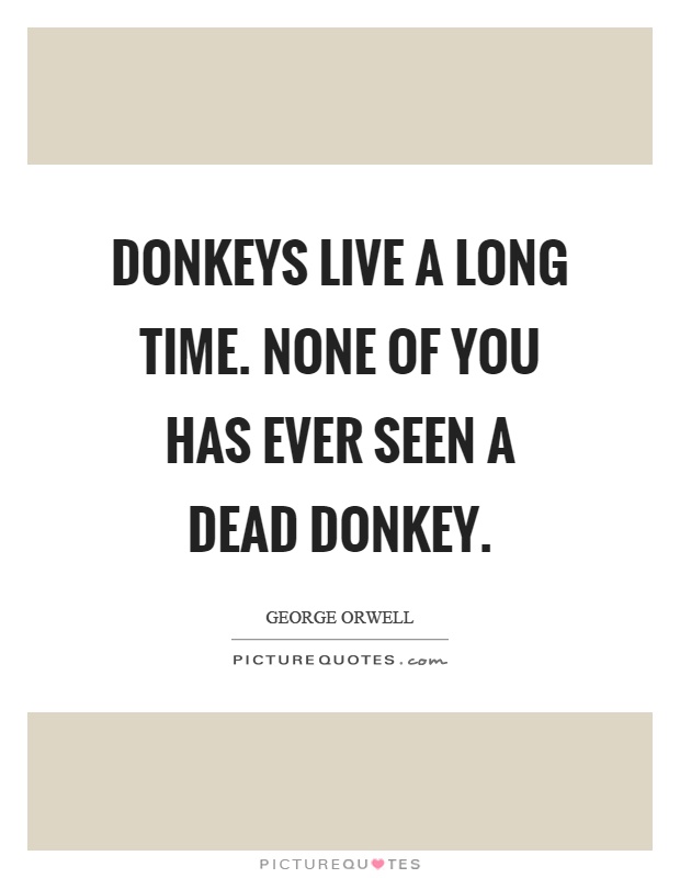 Donkeys live a long time. None of you has ever seen a dead donkey Picture Quote #1