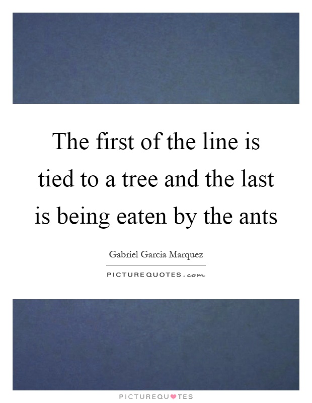 The first of the line is tied to a tree and the last is being eaten by the ants Picture Quote #1