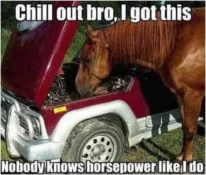 Chill out bro, I got this. Nobody knows horsepower like I do Picture Quote #1