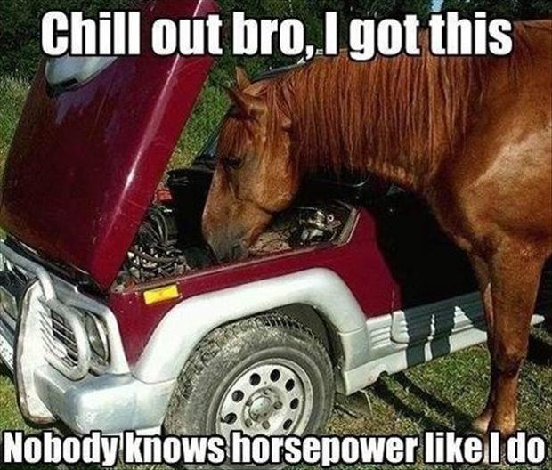 Chill out bro, I got this. Nobody knows horsepower like I do Picture Quote #1