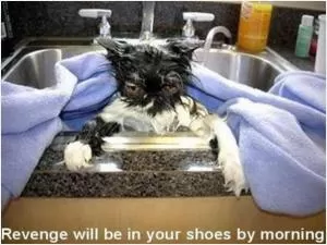 Revenge will be in your shoes by morning Picture Quote #1