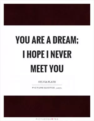 You are a dream; I hope I never meet you Picture Quote #1