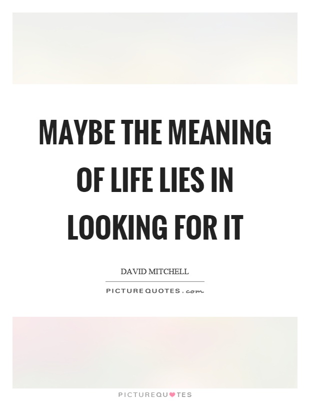 Maybe the meaning of life lies in looking for it Picture Quote #1