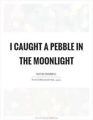 I caught a pebble in the moonlight Picture Quote #1