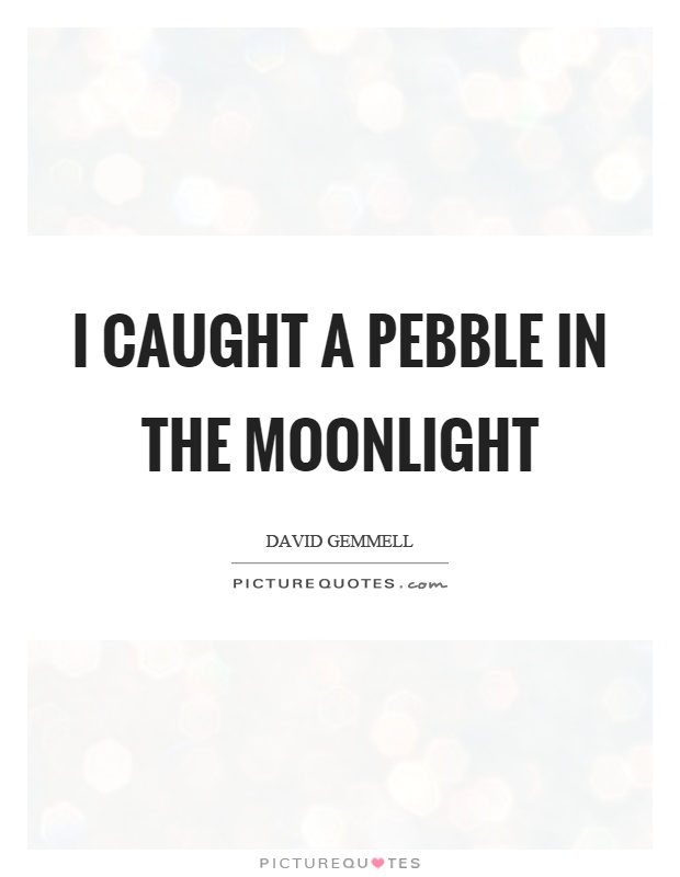 I caught a pebble in the moonlight Picture Quote #1