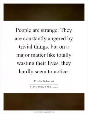 People are strange: They are constantly angered by trivial things, but on a major matter like totally wasting their lives, they hardly seem to notice Picture Quote #1