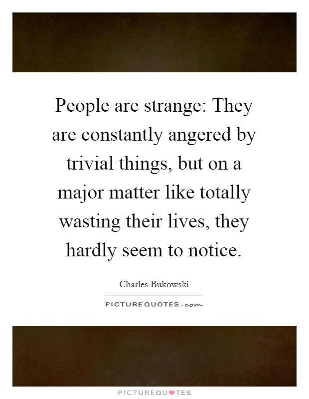 People are strange: They are constantly angered by trivial things, but on a major matter like totally wasting their lives, they hardly seem to notice Picture Quote #1