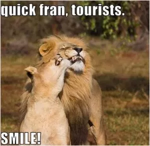 Quick Fran, tourists. Smile Picture Quote #1