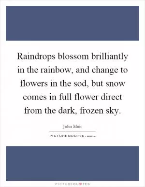 Raindrops blossom brilliantly in the rainbow, and change to flowers in the sod, but snow comes in full flower direct from the dark, frozen sky Picture Quote #1