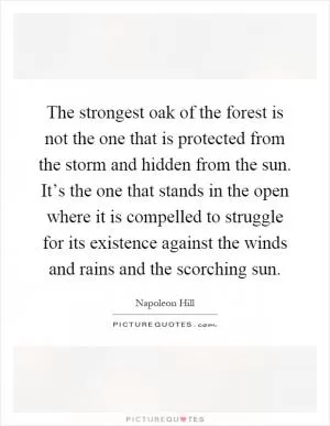 The strongest oak of the forest is not the one that is protected from the storm and hidden from the sun. It’s the one that stands in the open where it is compelled to struggle for its existence against the winds and rains and the scorching sun Picture Quote #1