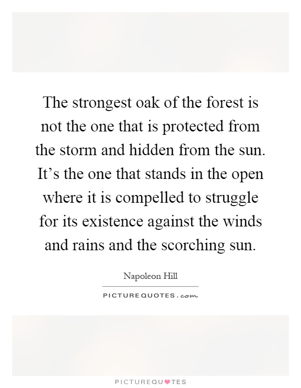 The strongest oak of the forest is not the one that is protected from the storm and hidden from the sun. It's the one that stands in the open where it is compelled to struggle for its existence against the winds and rains and the scorching sun Picture Quote #1