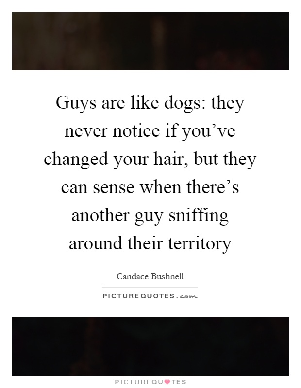 Guys are like dogs: they never notice if you've changed your hair, but they can sense when there's another guy sniffing around their territory Picture Quote #1