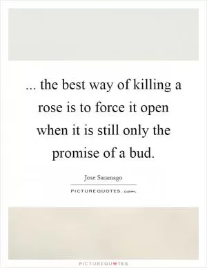 ... the best way of killing a rose is to force it open when it is still only the promise of a bud Picture Quote #1