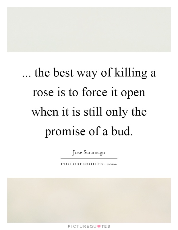... the best way of killing a rose is to force it open when it is still only the promise of a bud Picture Quote #1