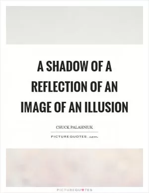 A shadow of a reflection of an image of an illusion Picture Quote #1