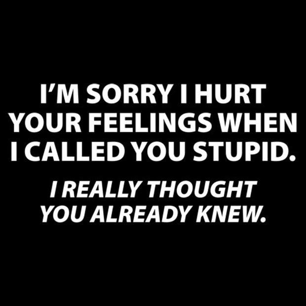 I'm sorry I hurt your feelings when I called you stupid. I really thought you already knew Picture Quote #1