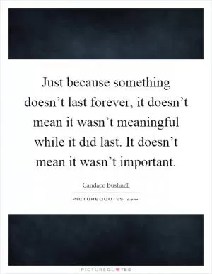 Just because something doesn’t last forever, it doesn’t mean it wasn’t meaningful while it did last. It doesn’t mean it wasn’t important Picture Quote #1
