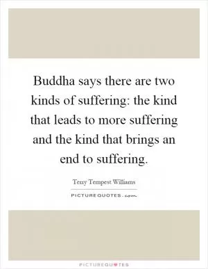 Buddha says there are two kinds of suffering: the kind that leads to more suffering and the kind that brings an end to suffering Picture Quote #1