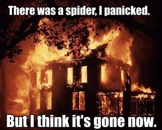 A home completely gutted by fire with the joke that this happened just because the occupant found a spider.