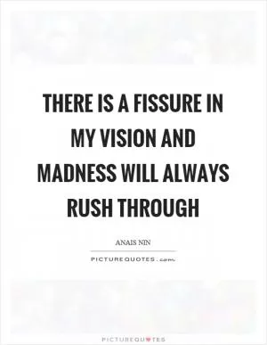 There is a fissure in my vision and madness will always rush through Picture Quote #1