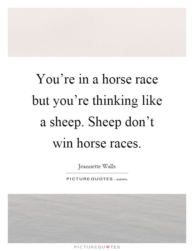 You're in a horse race but you're thinking like a sheep. Sheep don't win horse races Picture Quote #1