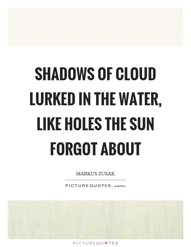 Shadows of cloud lurked in the water, like holes the sun forgot about Picture Quote #1