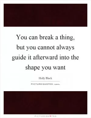 You can break a thing, but you cannot always guide it afterward into the shape you want Picture Quote #1