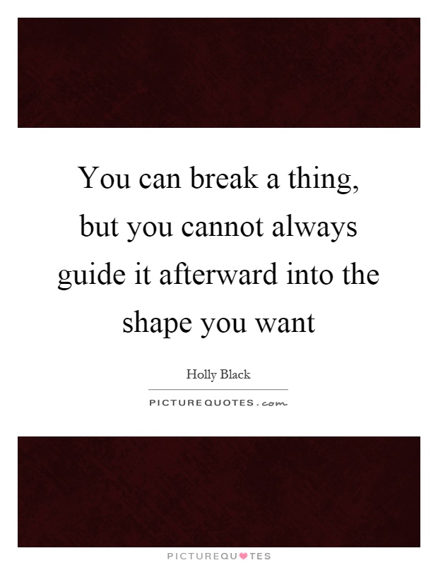 You can break a thing, but you cannot always guide it afterward into the shape you want Picture Quote #1