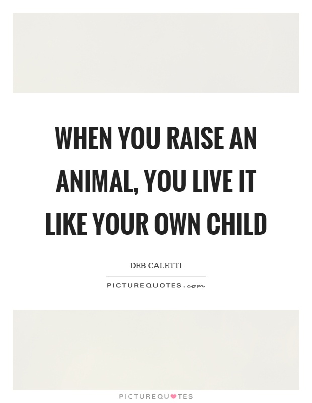 When you raise an animal, you live it like your own child Picture Quote #1