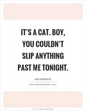 It’s a cat. Boy, you couldn’t slip anything past me tonight Picture Quote #1