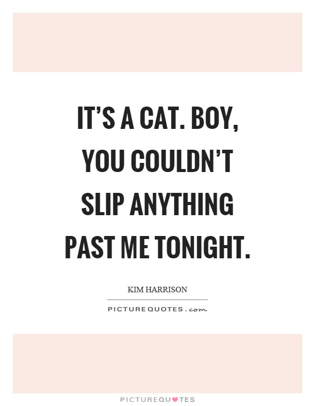 It's a cat. Boy, you couldn't slip anything past me tonight Picture Quote #1