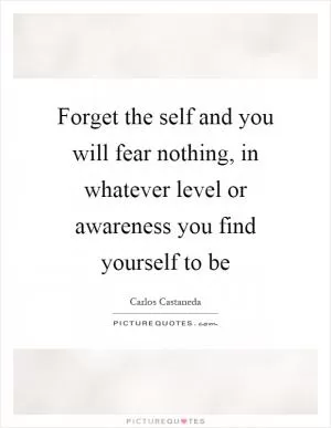 Forget the self and you will fear nothing, in whatever level or awareness you find yourself to be Picture Quote #1