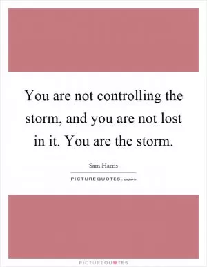 You are not controlling the storm, and you are not lost in it. You are the storm Picture Quote #1
