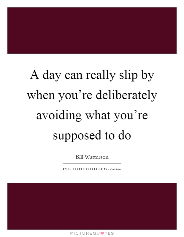 A day can really slip by when you're deliberately avoiding what you're supposed to do Picture Quote #1
