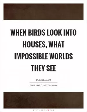 When birds look into houses, what impossible worlds they see Picture Quote #1
